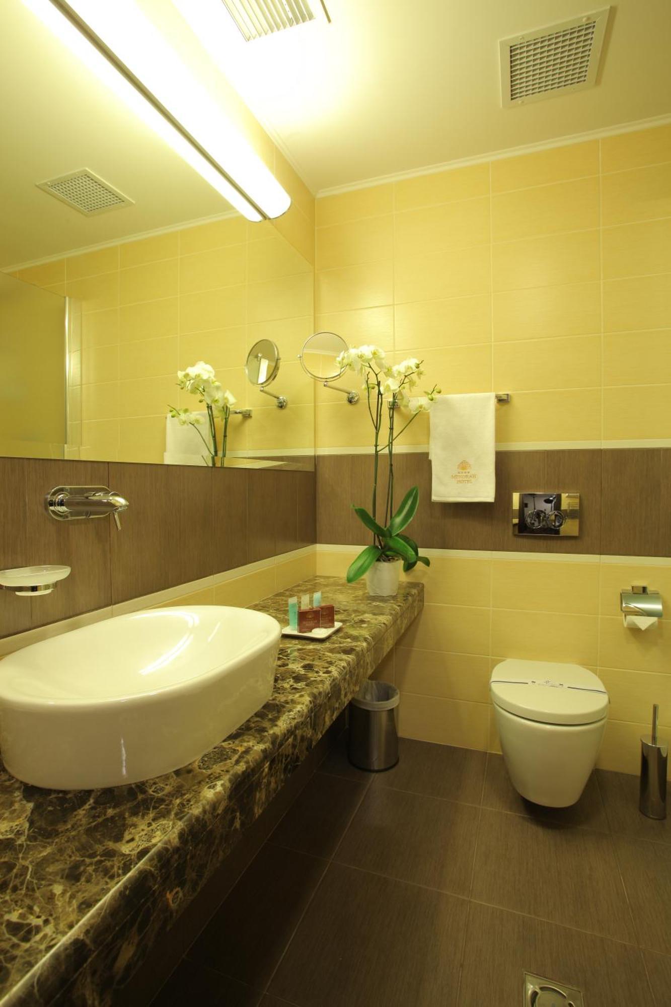 Business Double Room with Gym Access