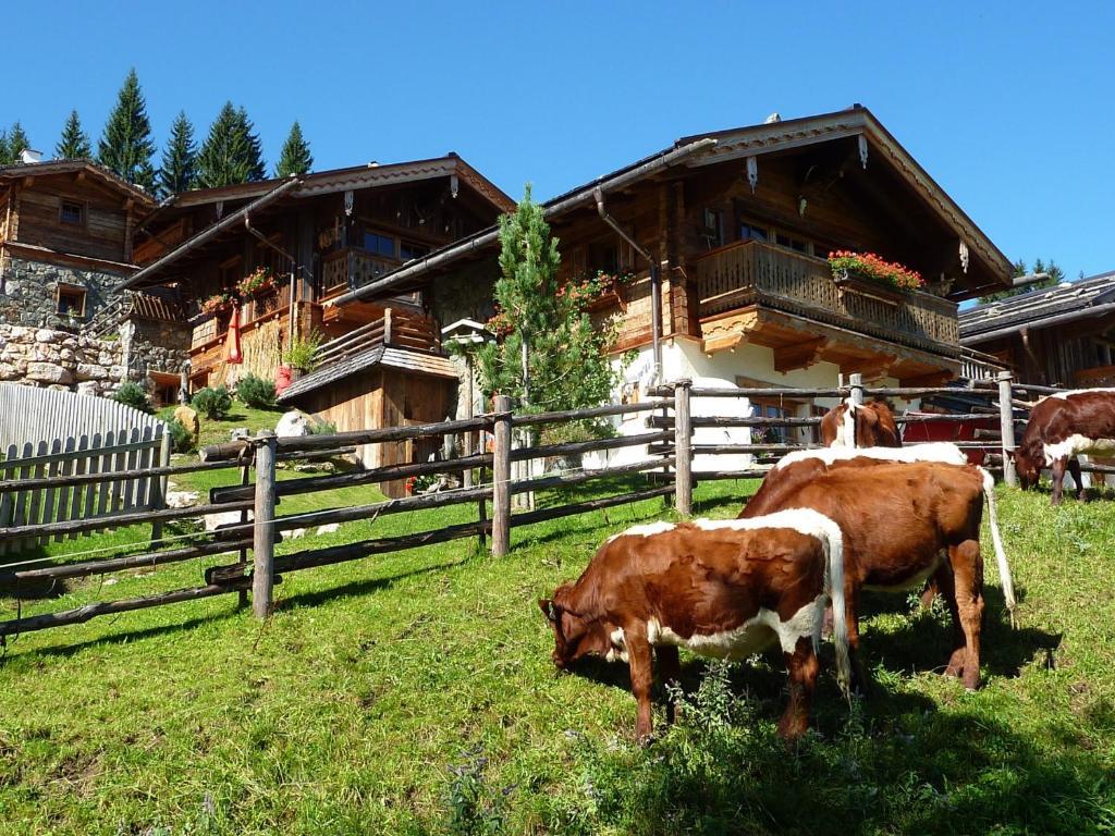 Chalet (10 Volwassenen)