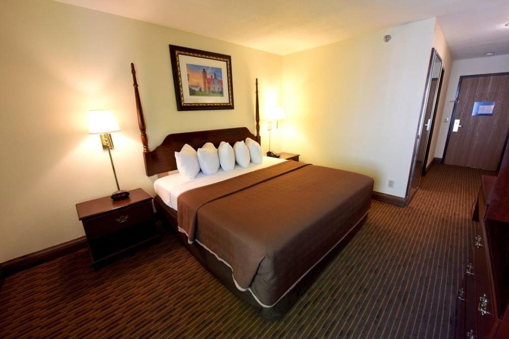 Single Room - Disability Access,692525166:JPEG