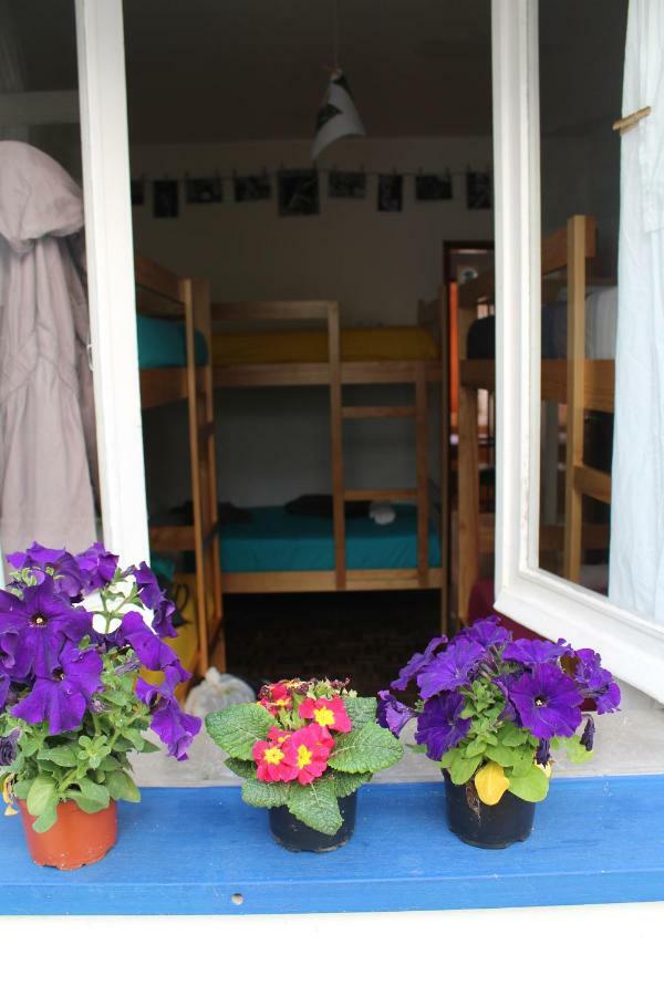 Bunk Bed in Mixed Dormitory Room