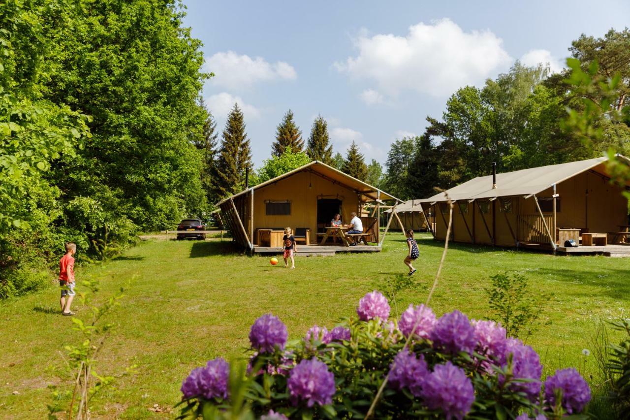 Woldlodge