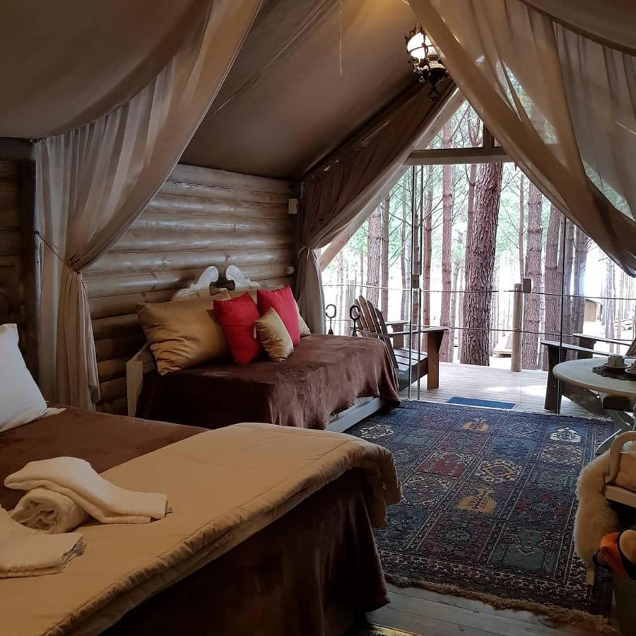 Luxury Glamping Tent