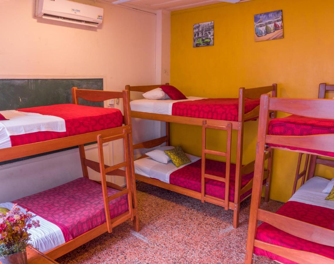 Bed in 6-Bed Mixed Dormitory Room