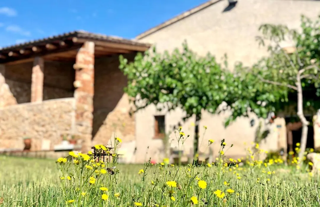 Casa rural Can Miquel - en pleno bosque y cerca de la PLAYA - increíbles rutas BTT-1