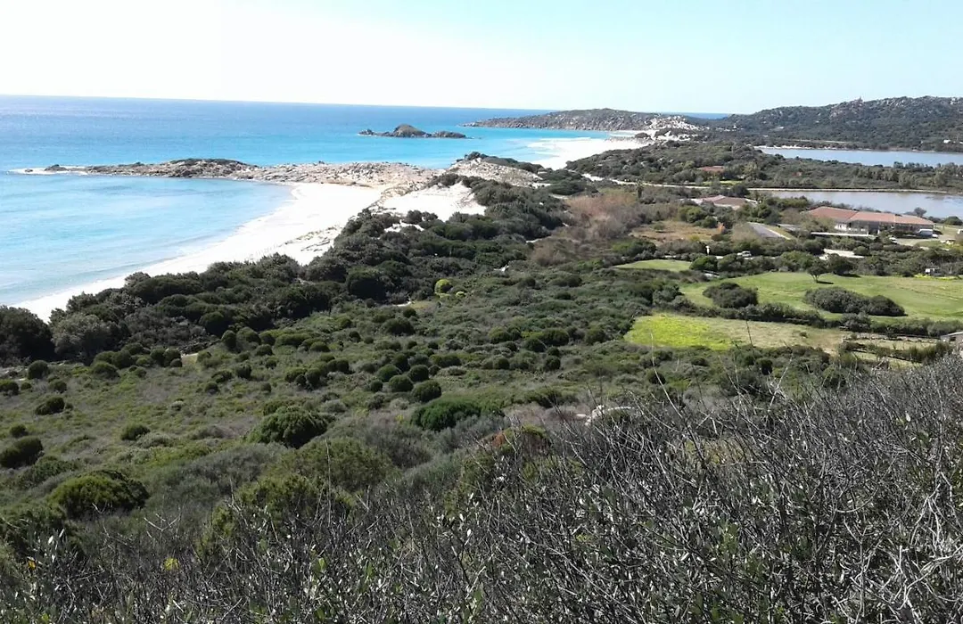 L'Onda Blu-1