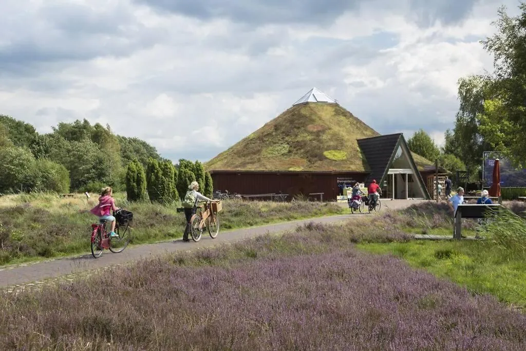 Drentse bungalow in natuur en rust-1
