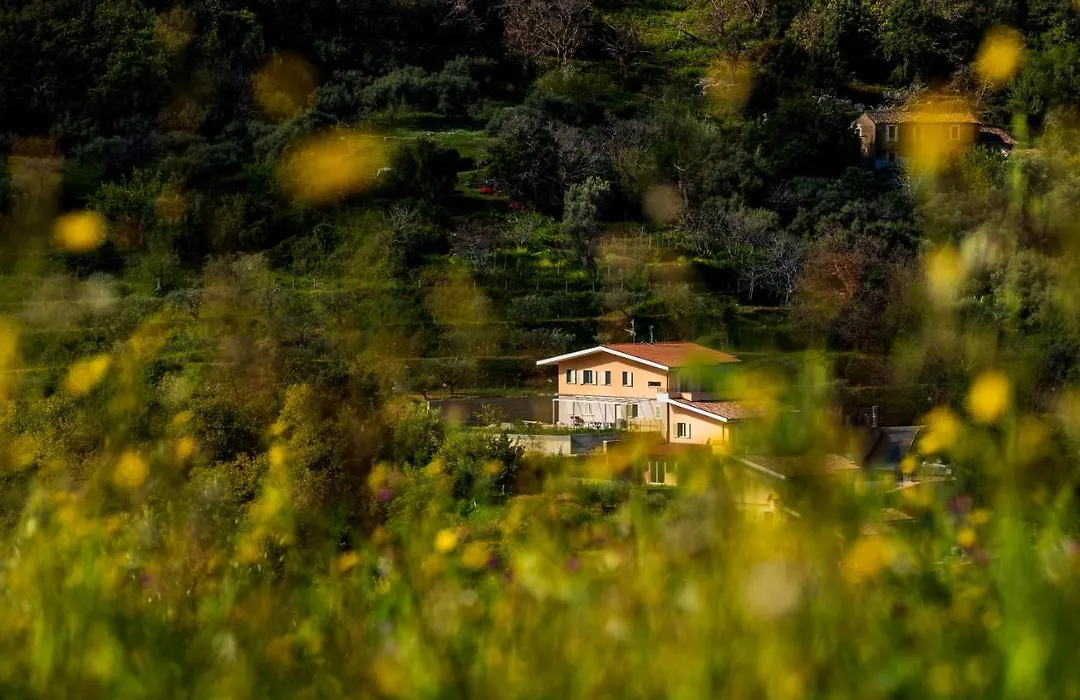 Residence Mersa-1