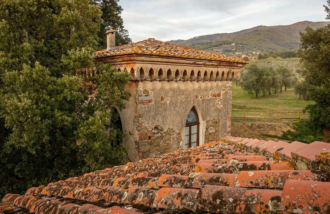 Agriturismo I Bonsi-1