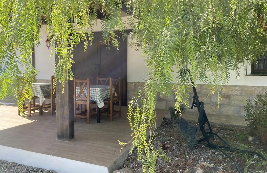 Las Palmeras-1