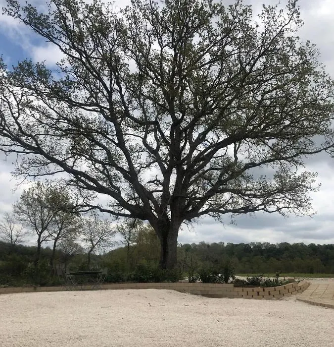 Agriturismo Antiglia-1
