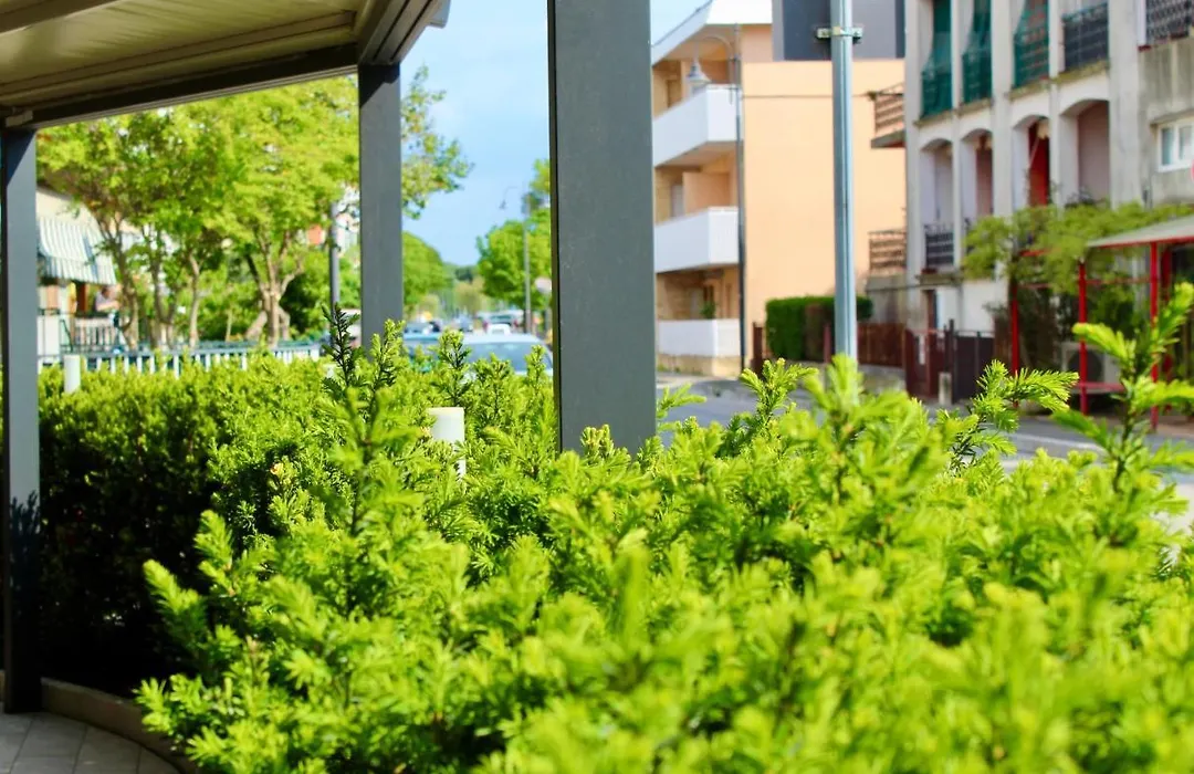 Hotel Cristina-1