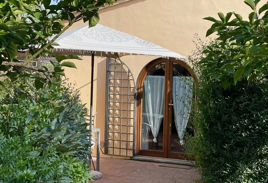 Gatto Bianco Tizzauli-1