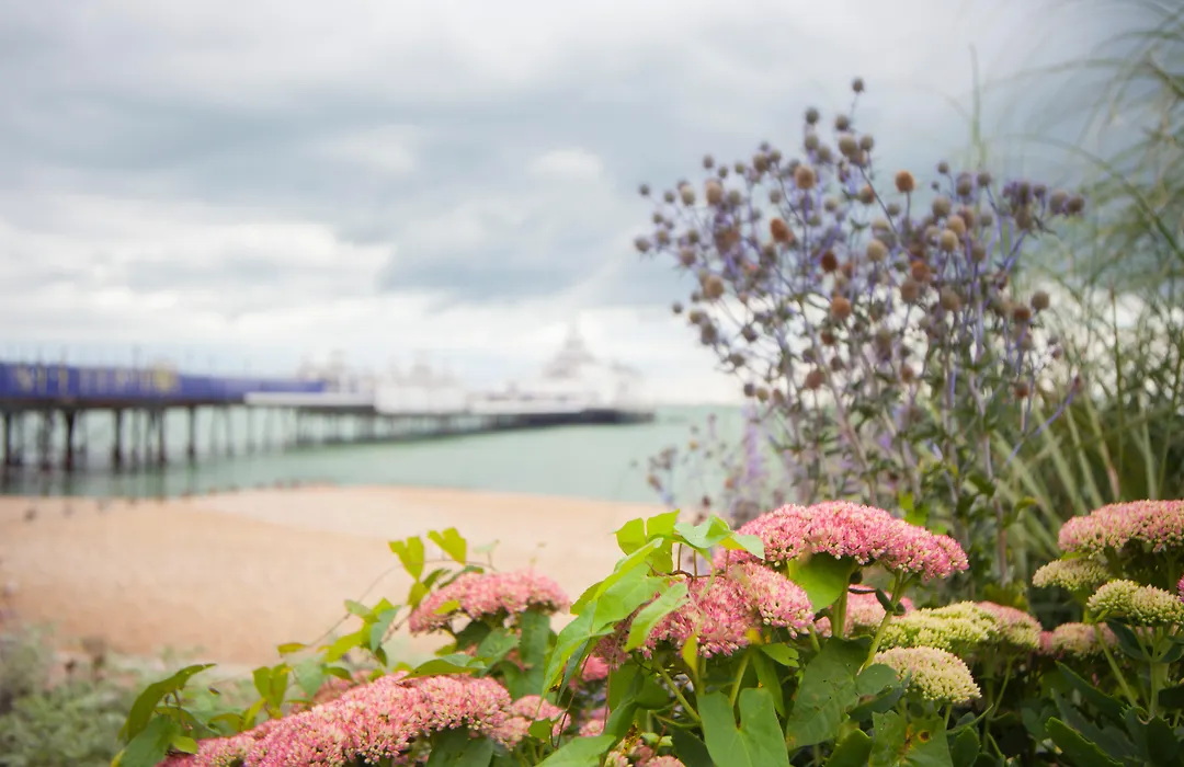 Citrus Hotel Eastbourne By Compass Hospitality-1