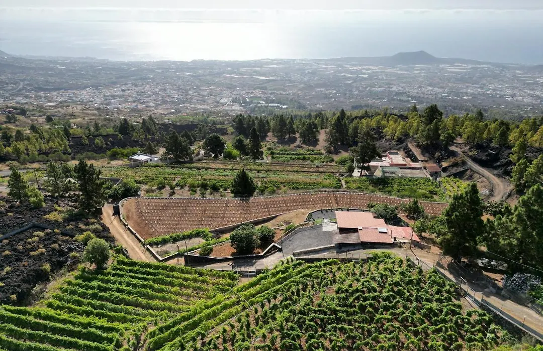 Finca Ecológica Ferrera. Alojamiento Rural.-1