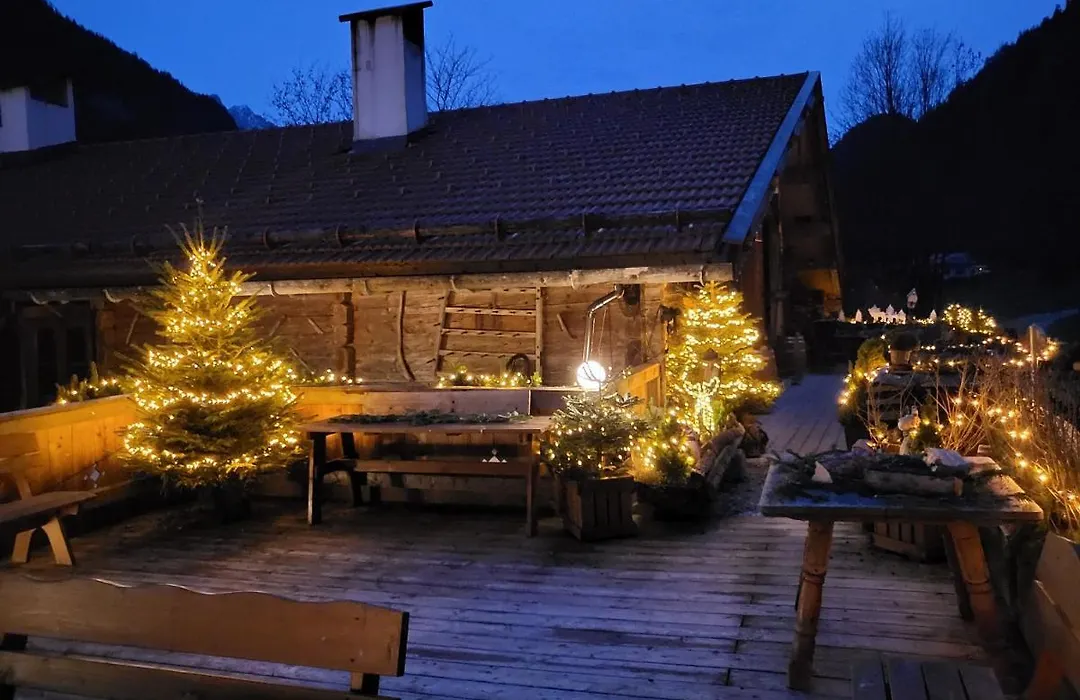 Nickis Bergcamp-1