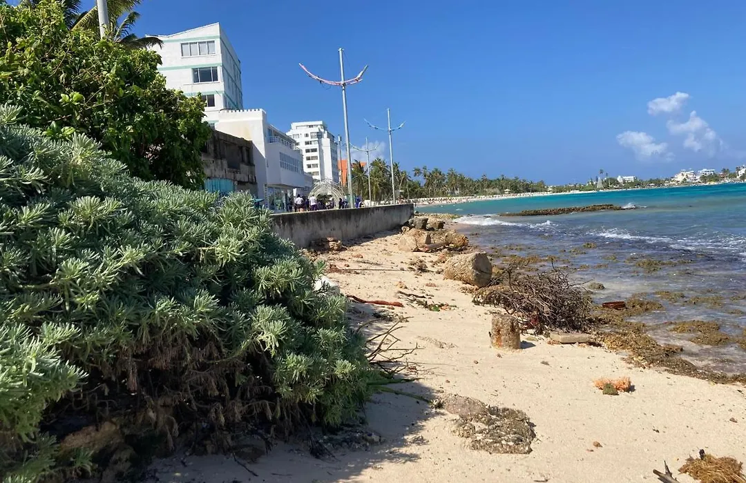 Apartamento De Playa 601-1
