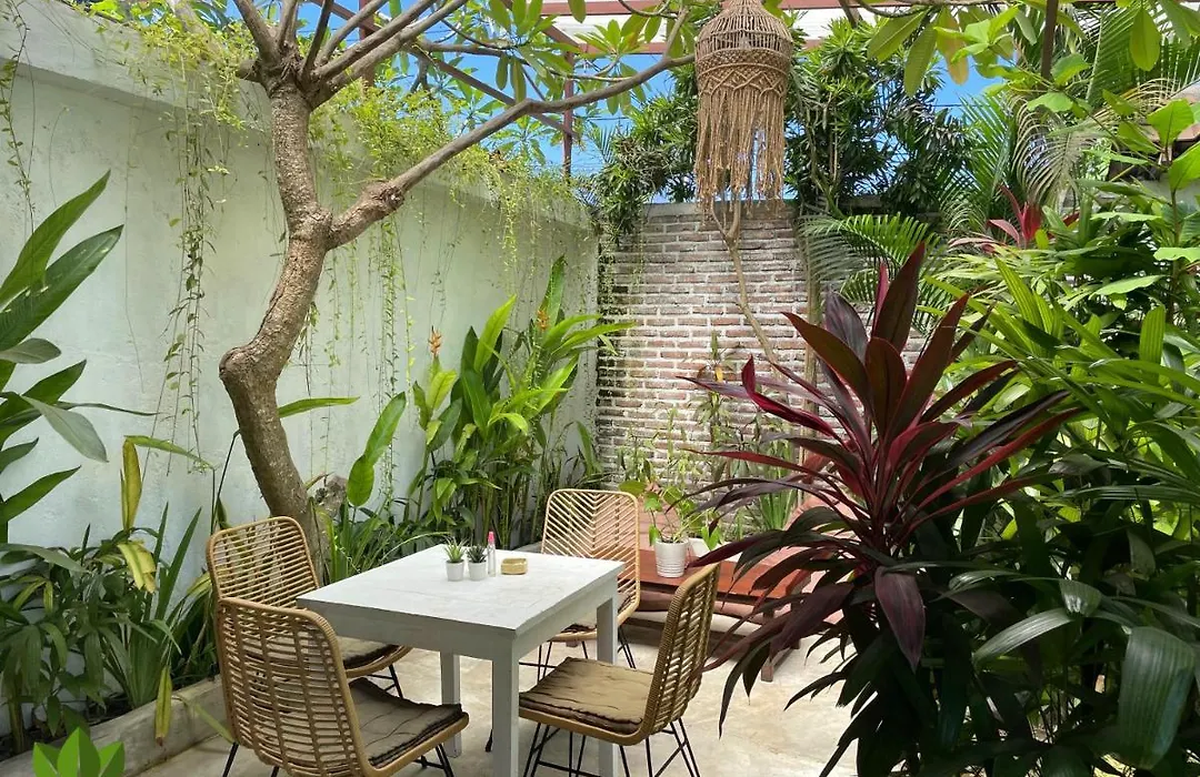 The Jungle House-1