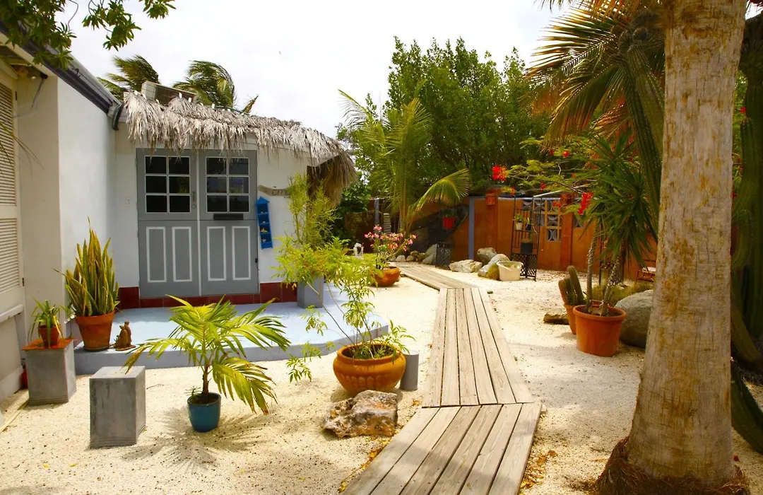 Beach House Aruba Apartments-1
