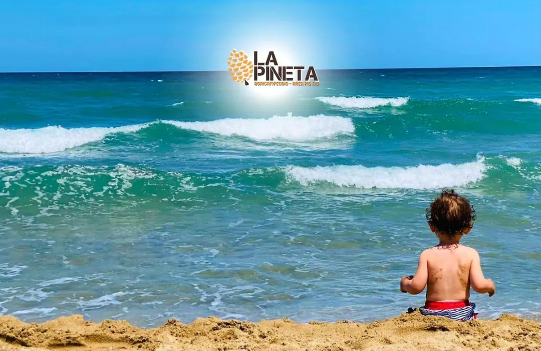 Agricampeggio La Pineta-1