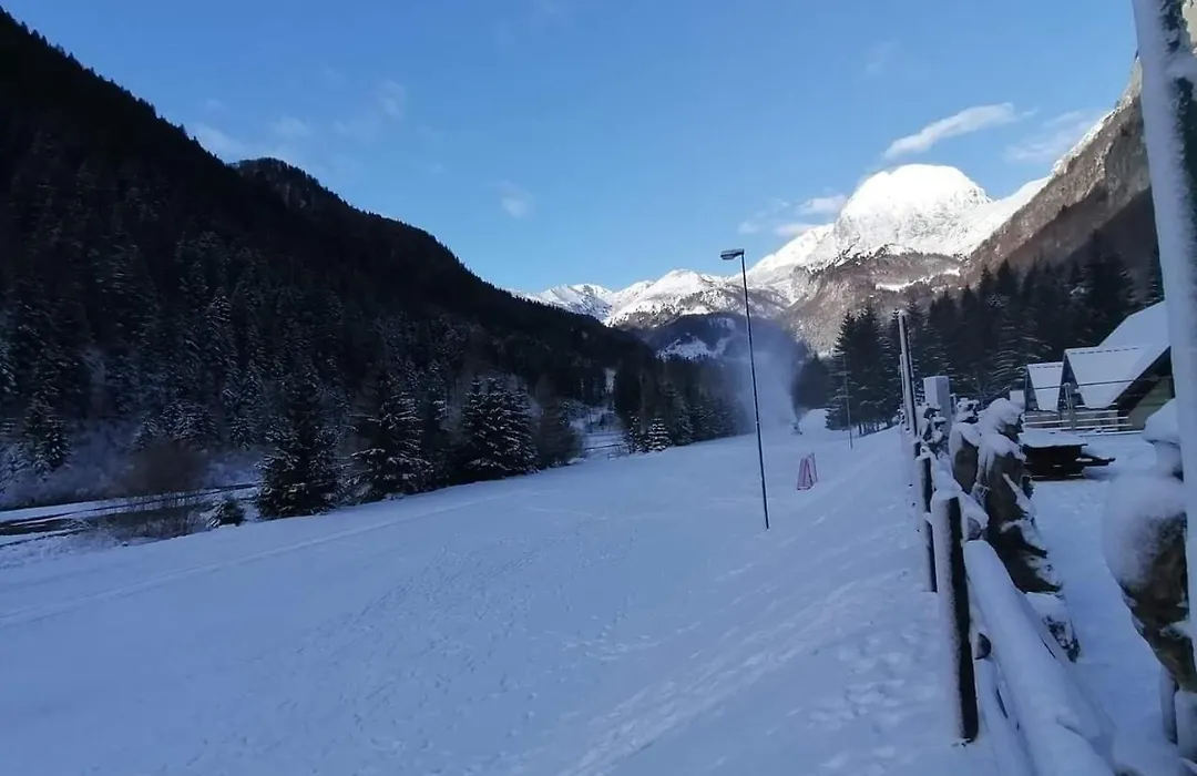 Holiday Guesthouse La Casina di Butzi pet friendly - Terme di Arta - Zoncolan-1