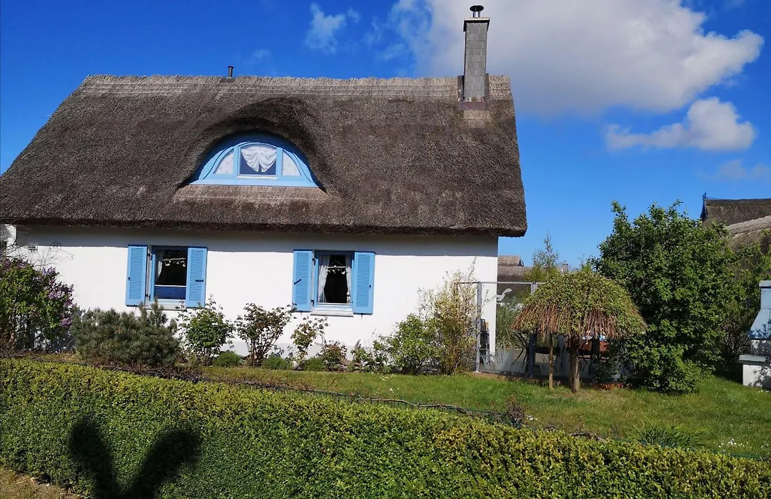 Ferienhaus Seehund-1
