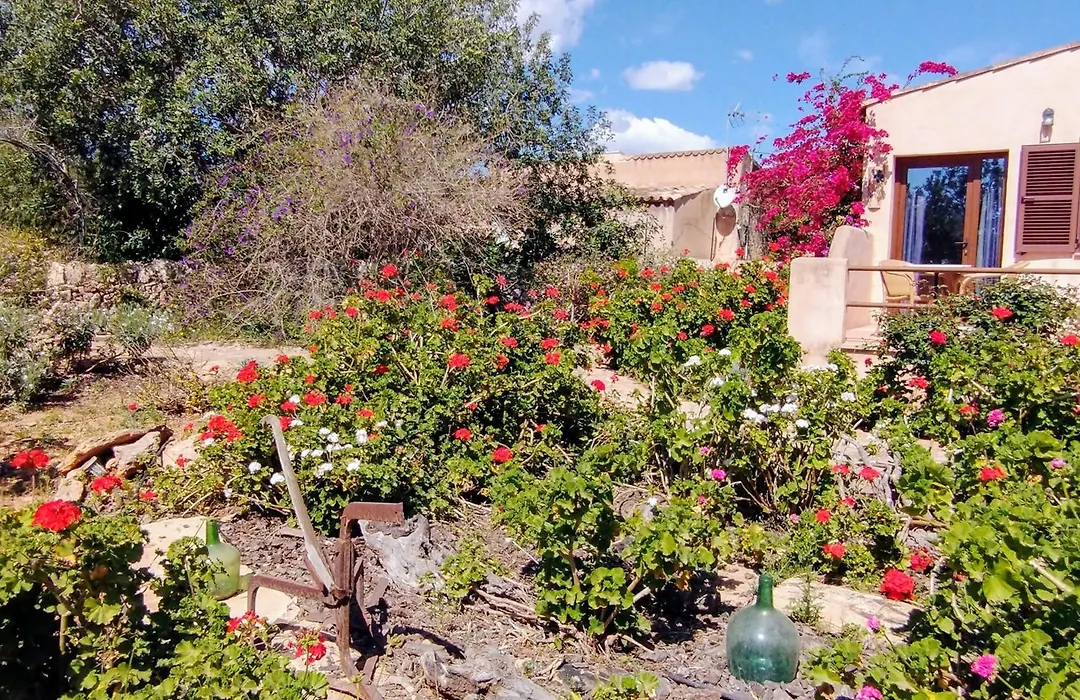 Finca Son Marimon - Adults Only-1