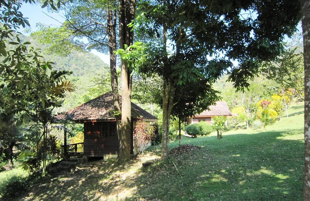 Phanom Bencha Mountain Resort-1