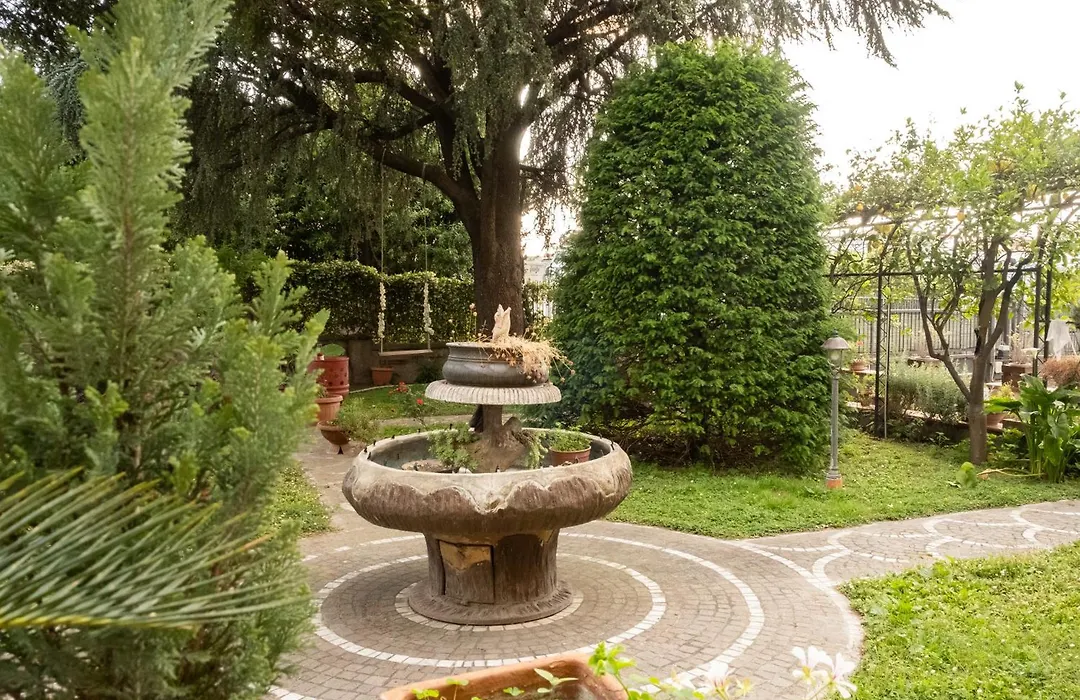Il Pino Argentato-1