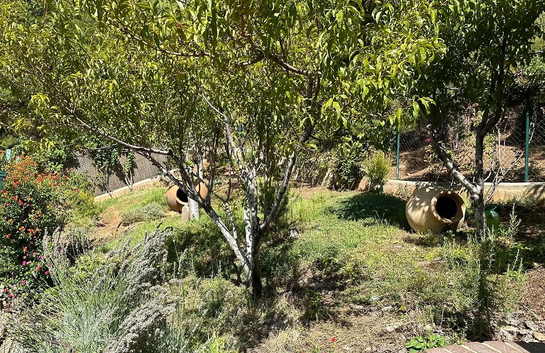 Casas Rurales Cerro Lobo-1