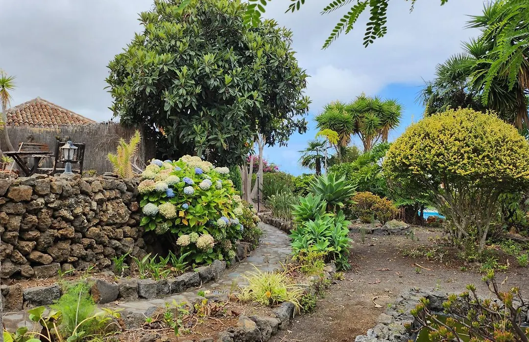 Oasis Hill Botanical Garden-1