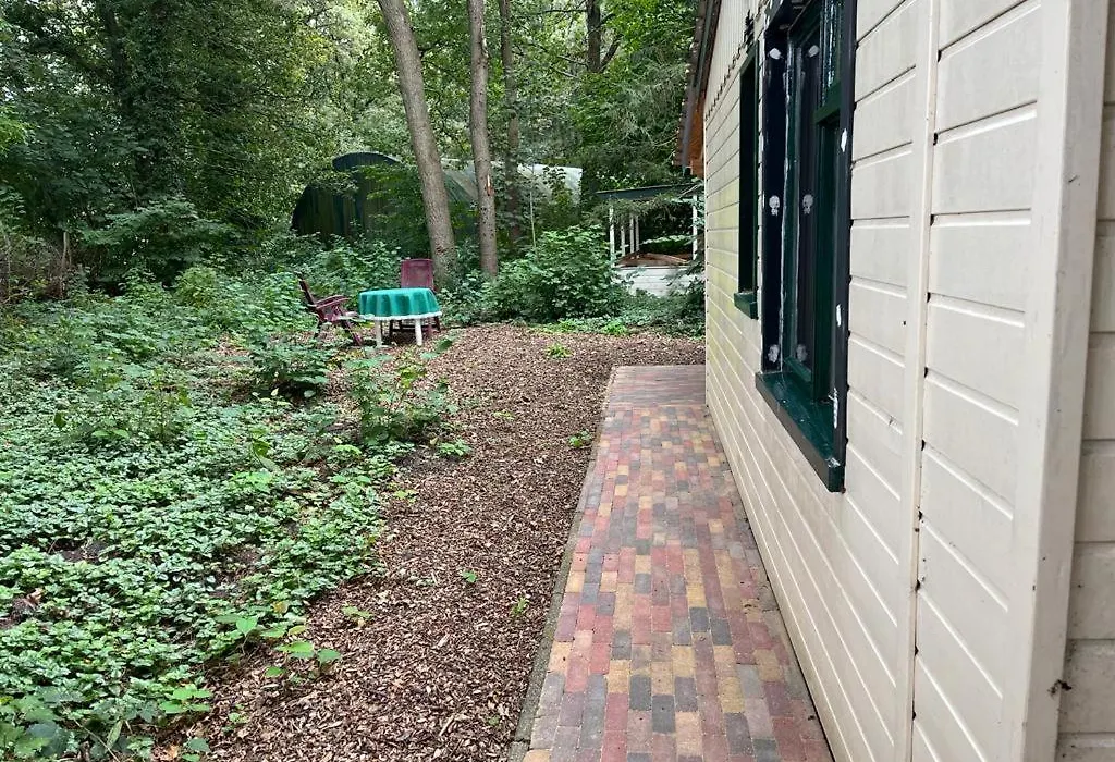 huisje in het bos-1