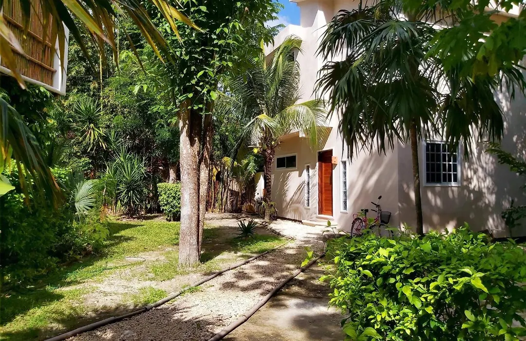 Mini Pini Birdwatching And Cenote Loft4 You Only-1