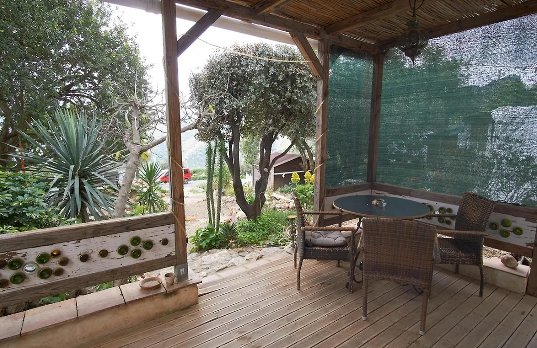 Olive Branch El Chorro-1