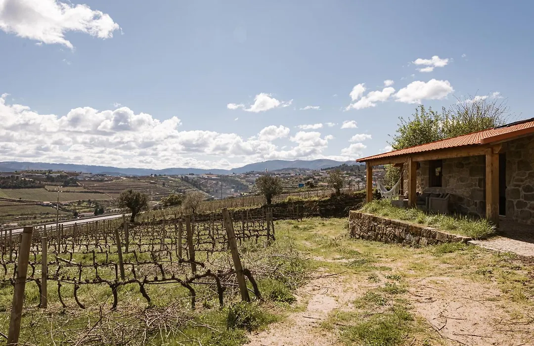 Quinta Da Portela - Casa Visconde Arneiros - By Rowdhouses-1