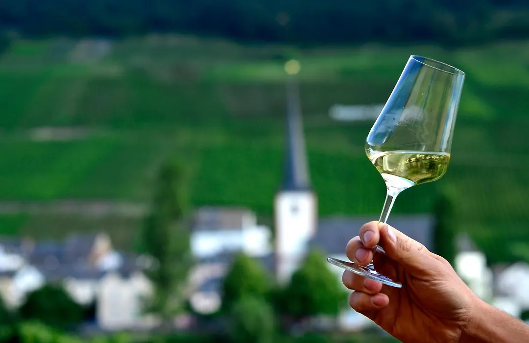 Weingut Später-Veit-1