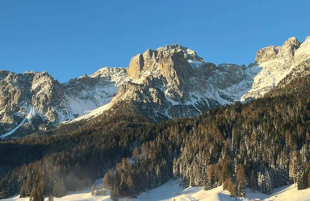 Appartamenti LaDina-1