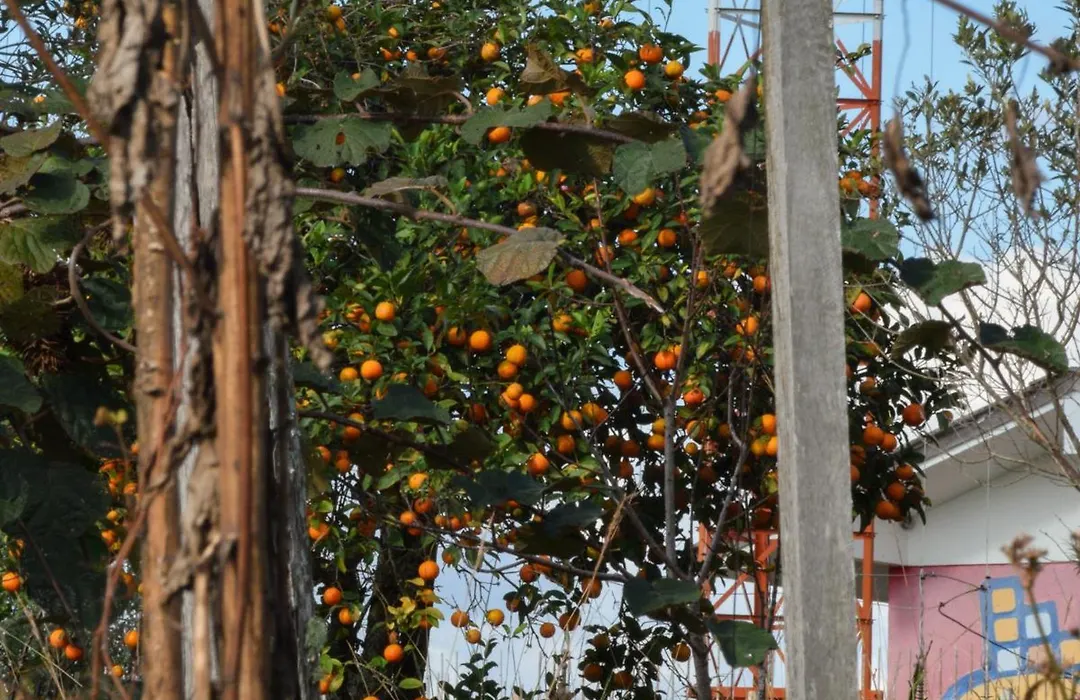 Suítes Celeste, Charme no Vale dos Vinhedos com Banheira e Café da Manhã Colonial Incluso-1