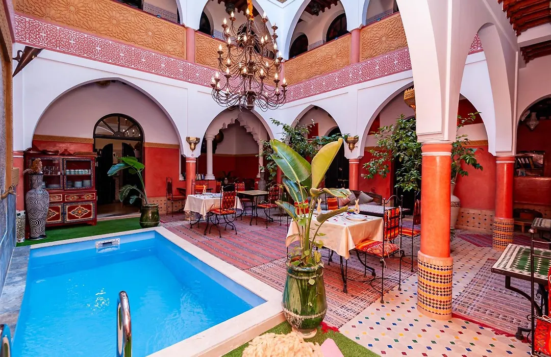 Riad Losra-1