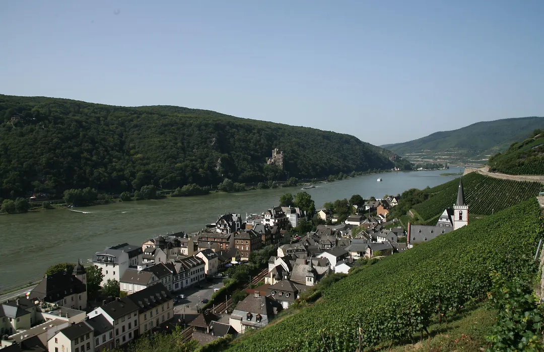 Rheinhotel Lamm-1
