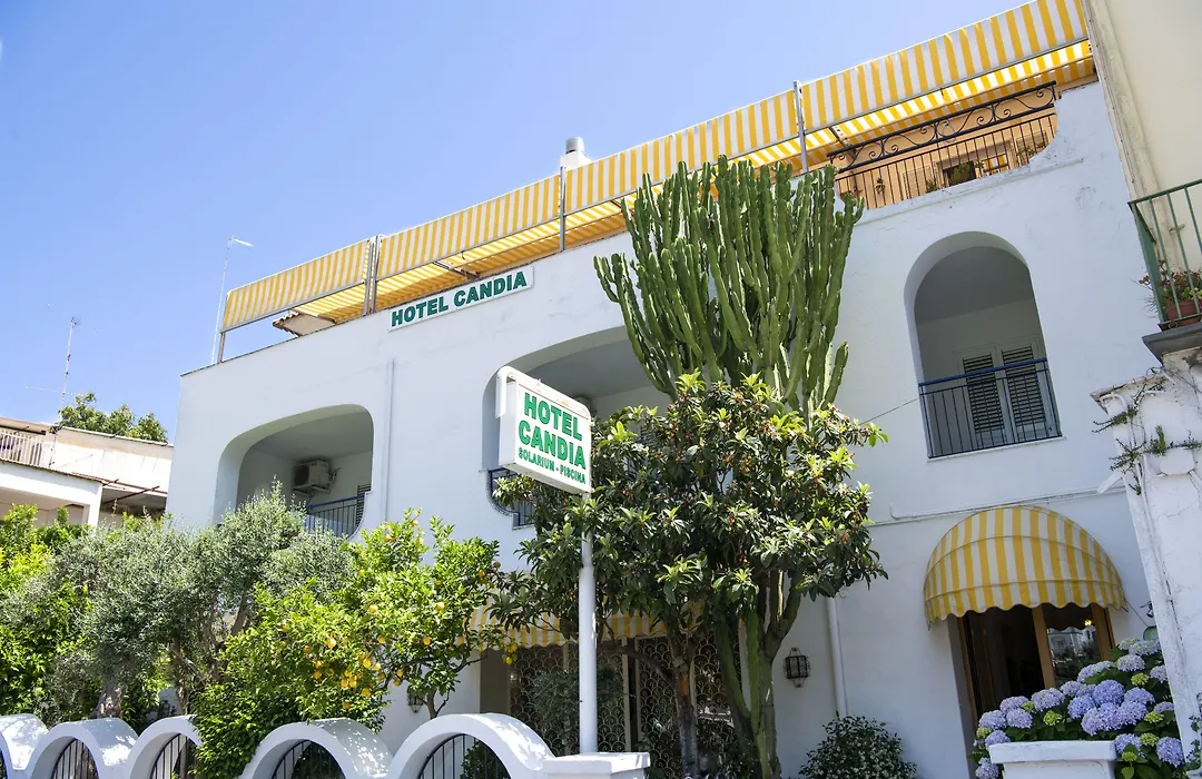 Hotel Candia-1