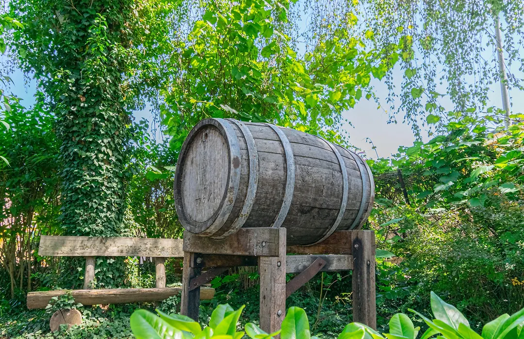 Weinhotel Ayler Kupp-1