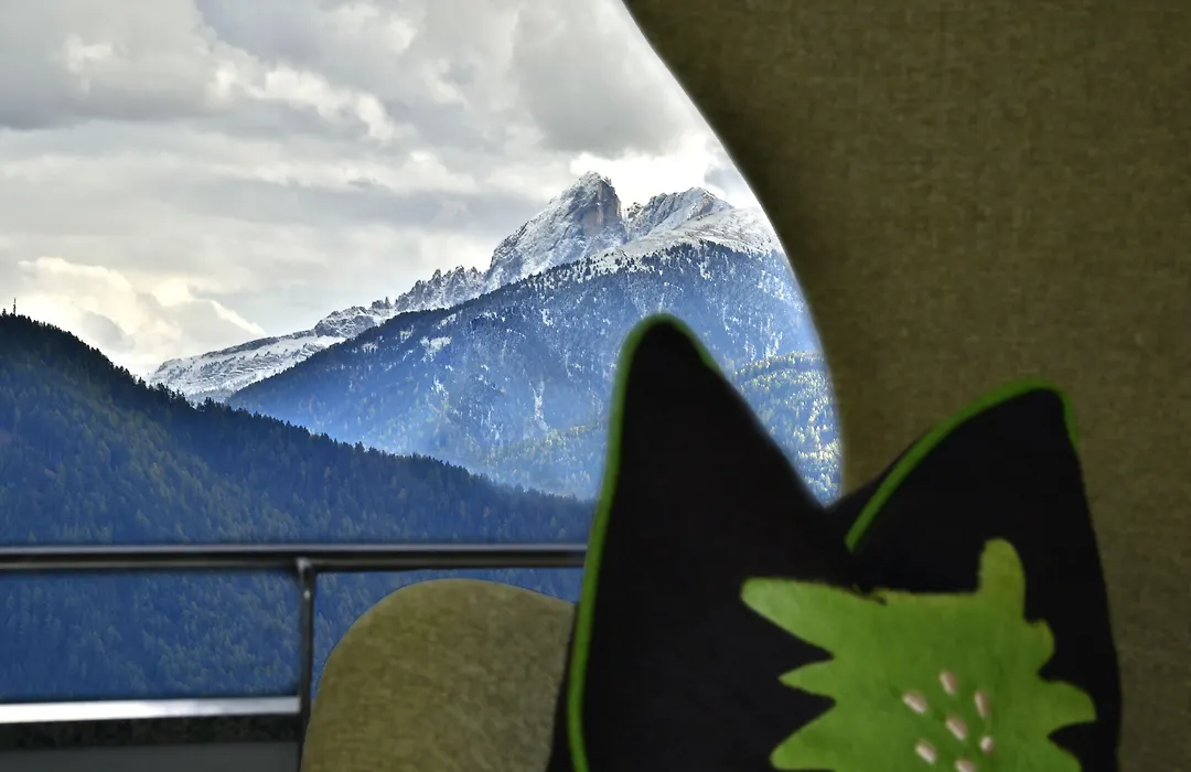Hotel Laerchenhof-1