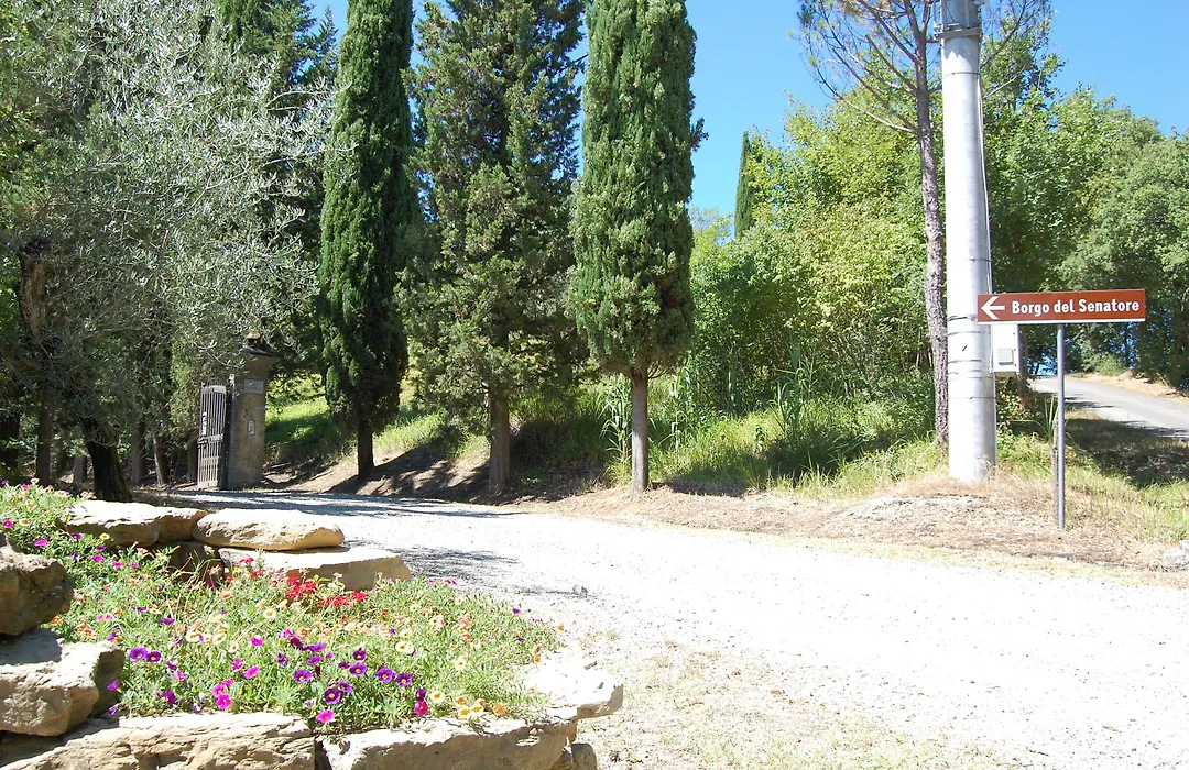 Casa Vacanze Borgo del Senatore-1