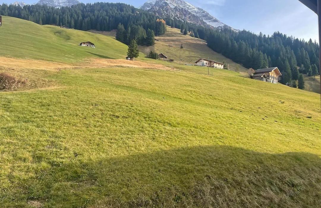 Ferien- Und Familienhotel Alpina Adelboden-1