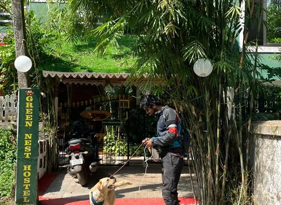Green Nest Hostel - Anjuna , North Goa-1