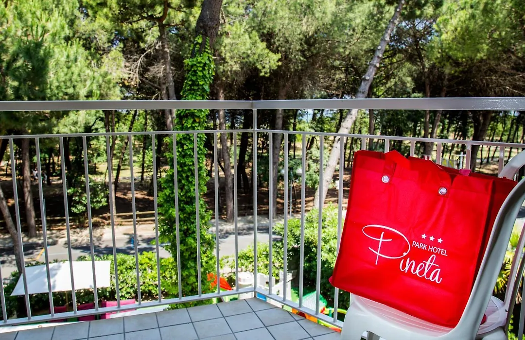 Park Hotel Pineta-1