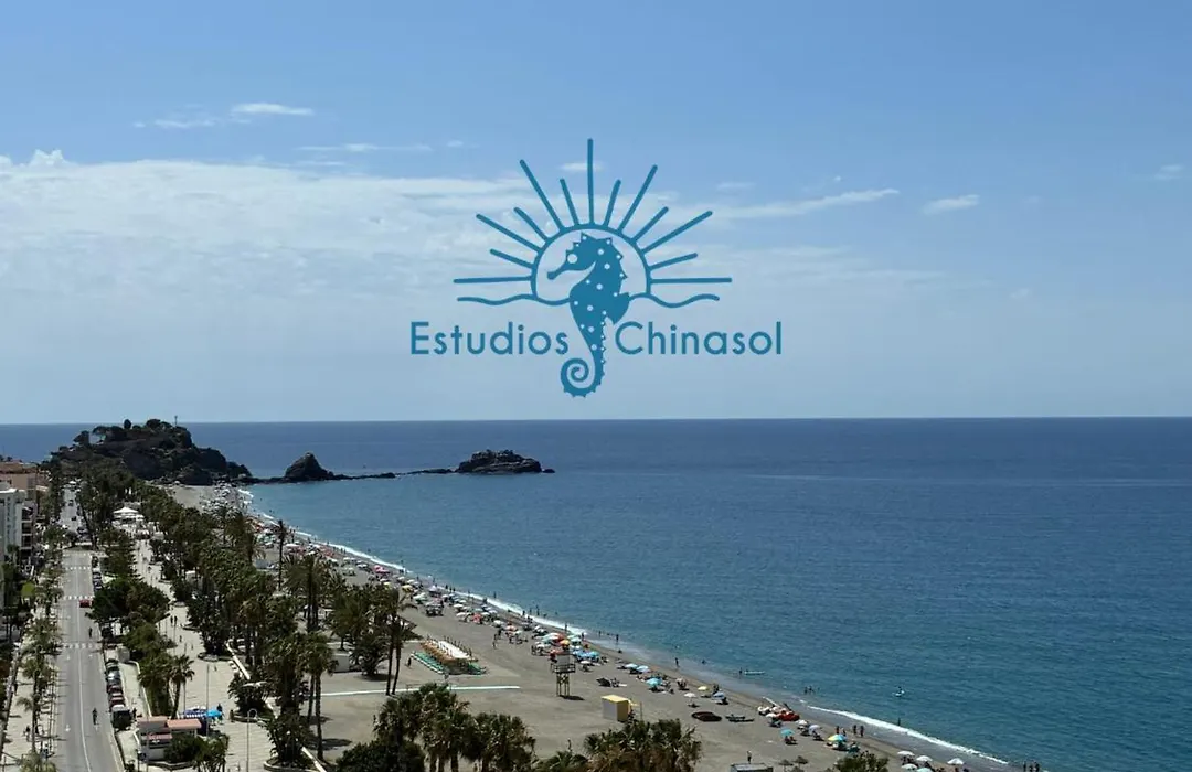 ESTUDIOS ChinaSOL-1