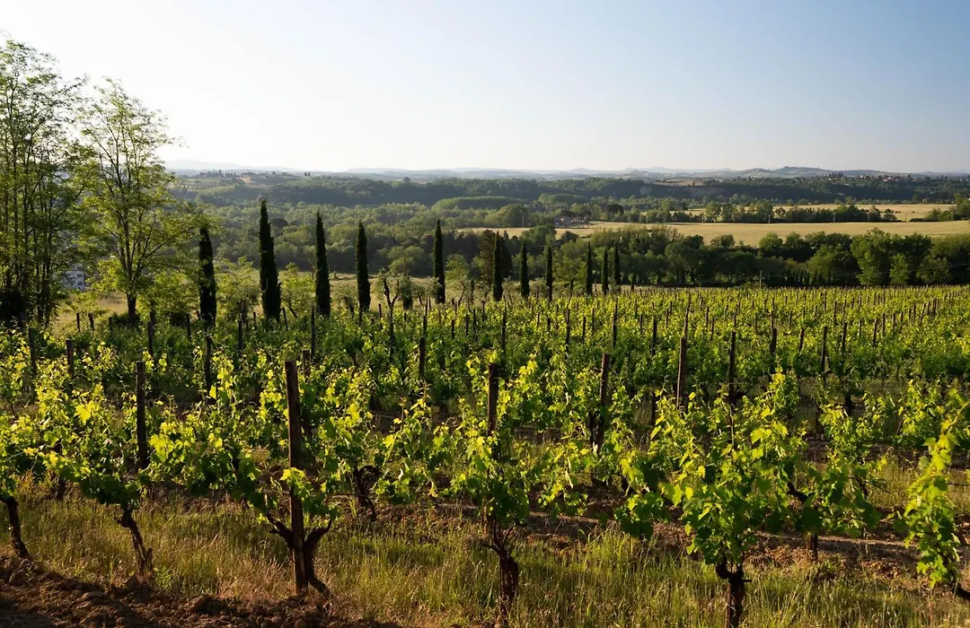 Agriturismo Pensieri di Cavatina-1