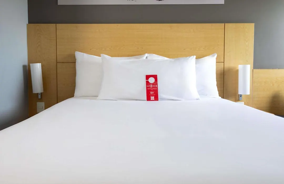 Ibis Chihuahua-1