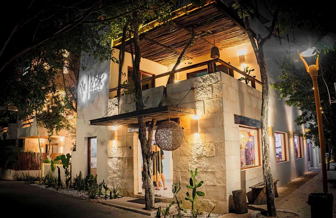 Niik Tulum-1